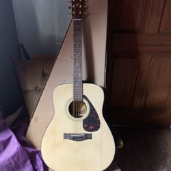 Guitar