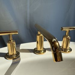 Kohler Sink & Faucet