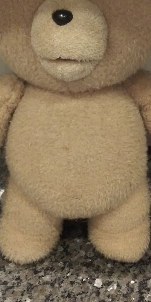 TED 16” Talking Plush Teddy Bear