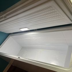 10foot Deep Freeze 