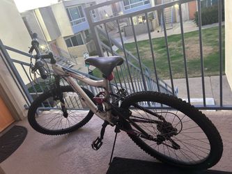 Mountain bike