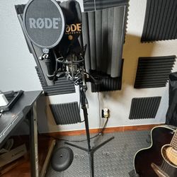 Mic RODE NT1