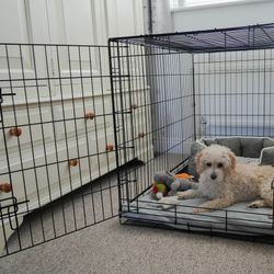 Dog Crate
