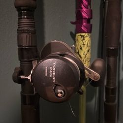 Shimano Fishing Reel