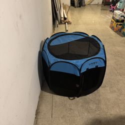 Dog Tent 