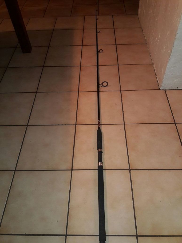 Penn Captiva 9ft 2piece fishing rod