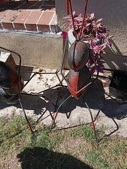 Ant Plant Holders