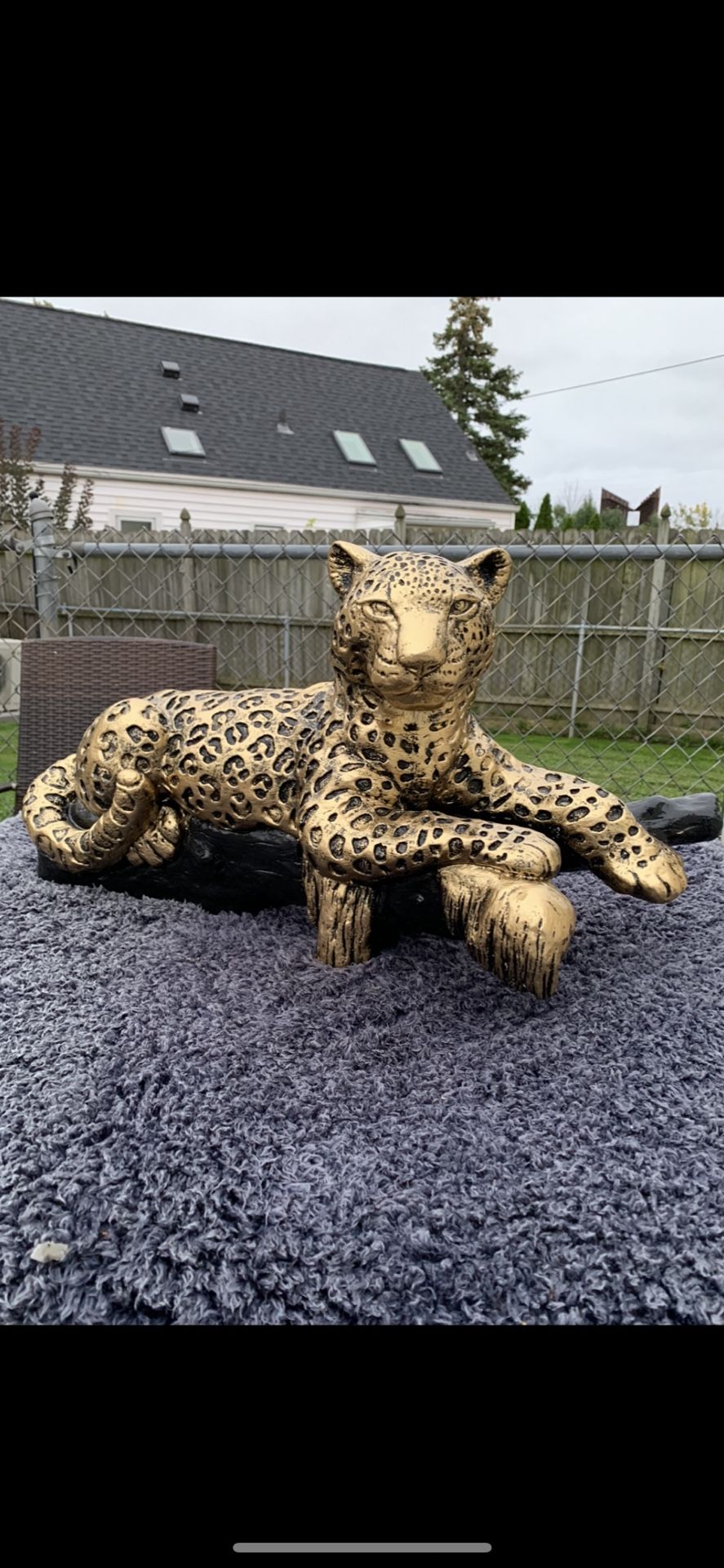Golden Leopard On The Log