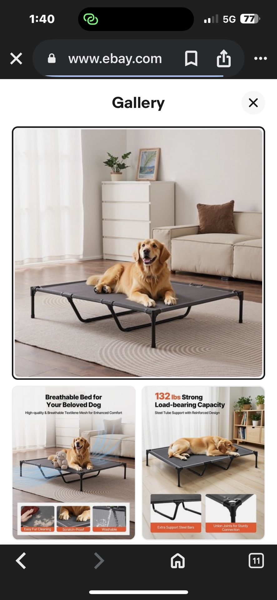 Cooling Elevated Pet Bed Size XL Portable