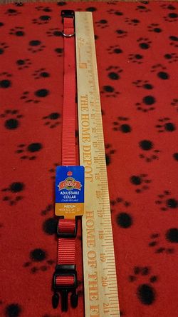 Pet collar red