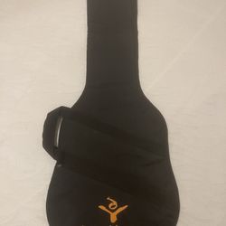 Guitar Bag 