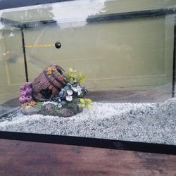 Fish Tank
