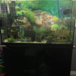 45 Gallon Fish Tank $100 OBO