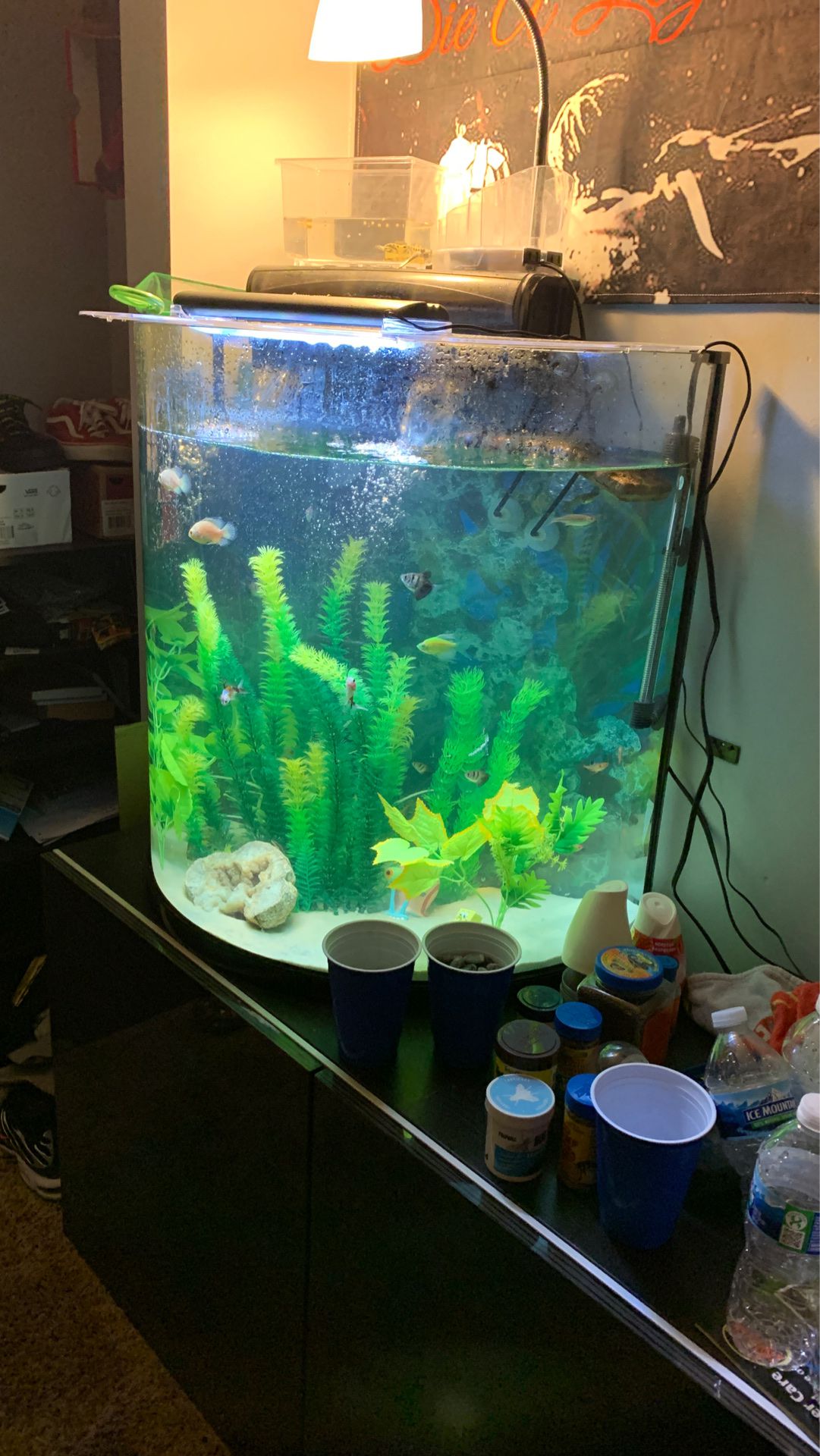30 gallon dome fish tank