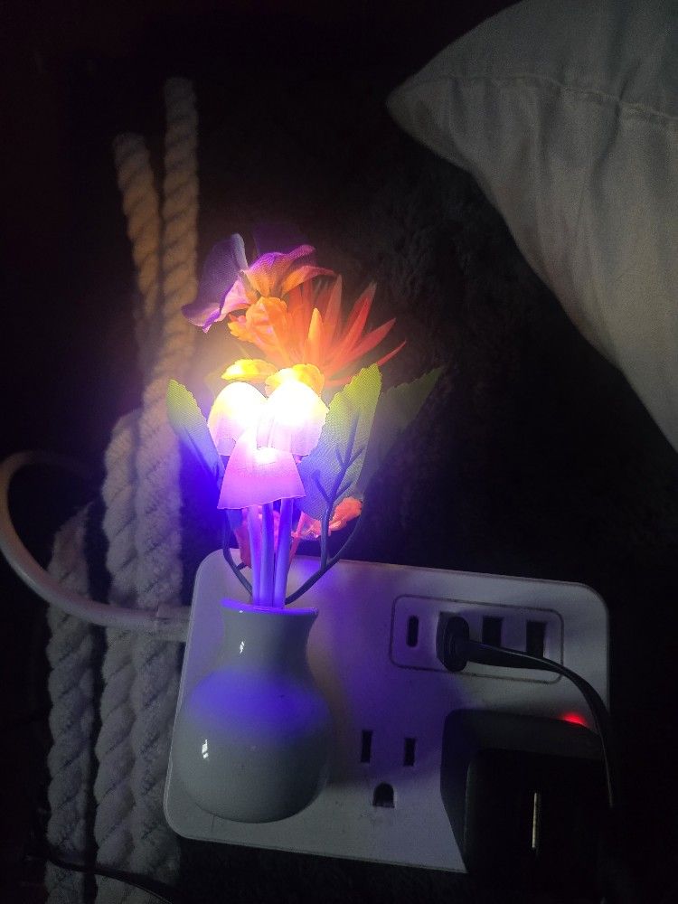 $25 pick up in Brooklyn new York
All 8 Dream night light led