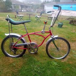 Schwinn Speed Stick