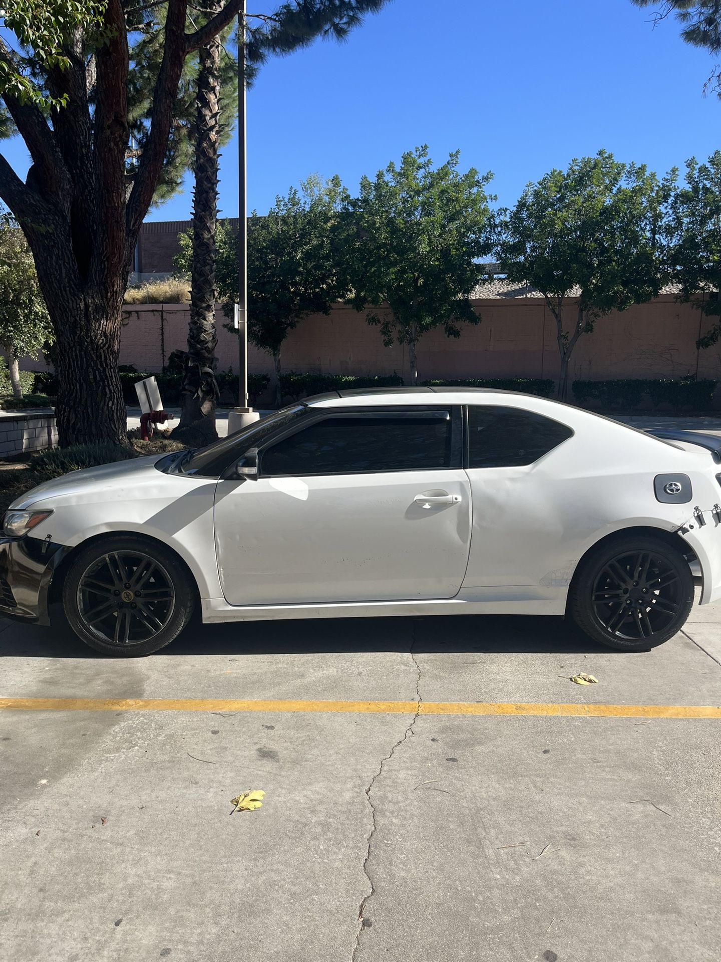 2011 Scion tC