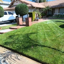 Grass , Bushes , Rock / Color  Mulch 
