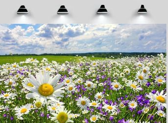 Spring Landscape Tempered Glass Kitchen Backsplash (30” x 16”)