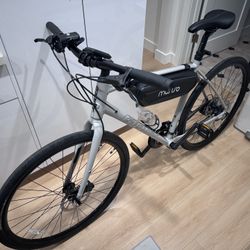 Giant Escape 2 Disc Concrete 