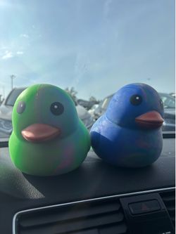 Squeezy ducks