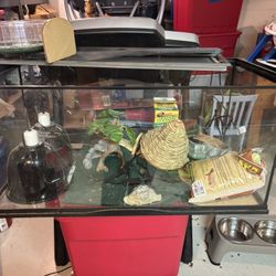 Bearded Dragon Starter kit