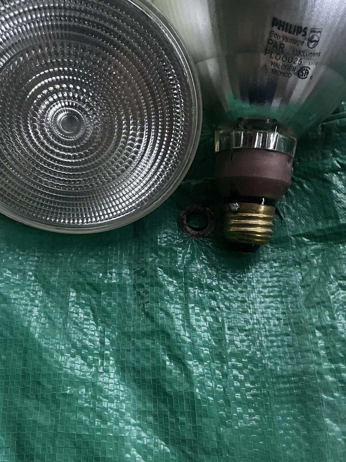 Flood & Halogen Light Bulbs