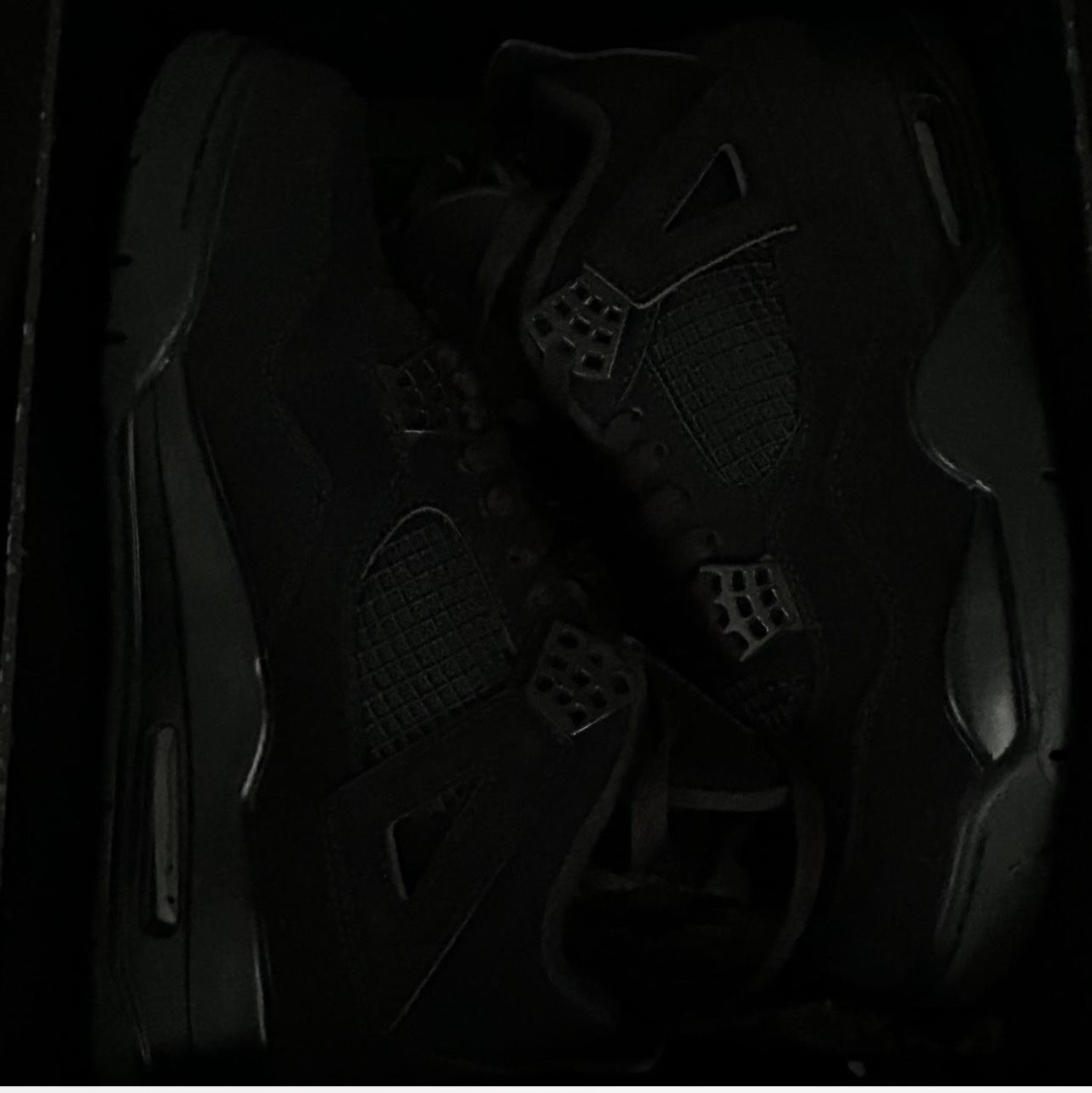 Jordan 4 Black Cats 