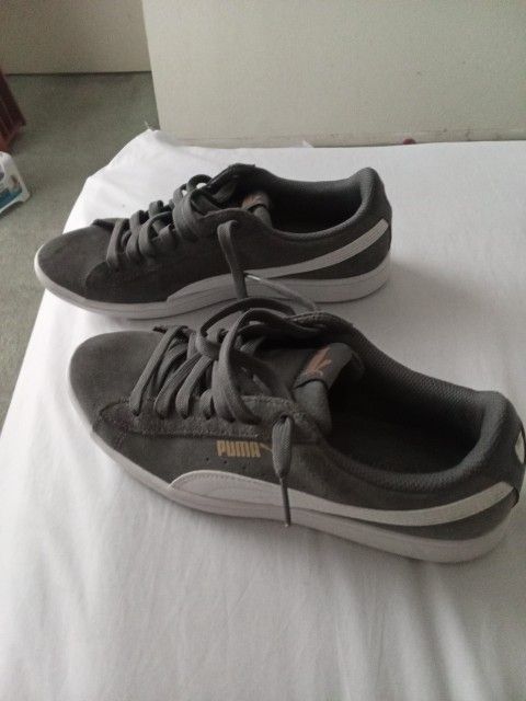 Pumas