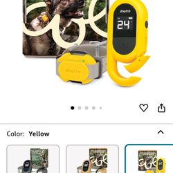 Training Collar For Dogs