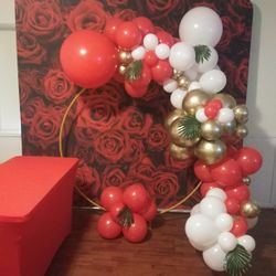 Loop/circle Balloon Decor Backdrop