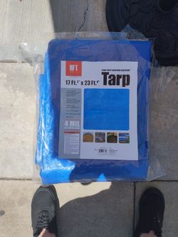 Tarp