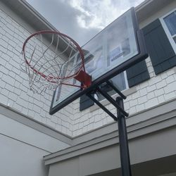 Lifetime Basketball Hoop 