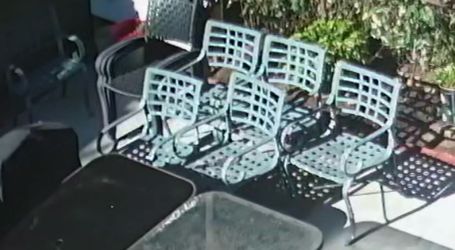 Set of 6 cast iron Patio Chairs.  Just needs paint