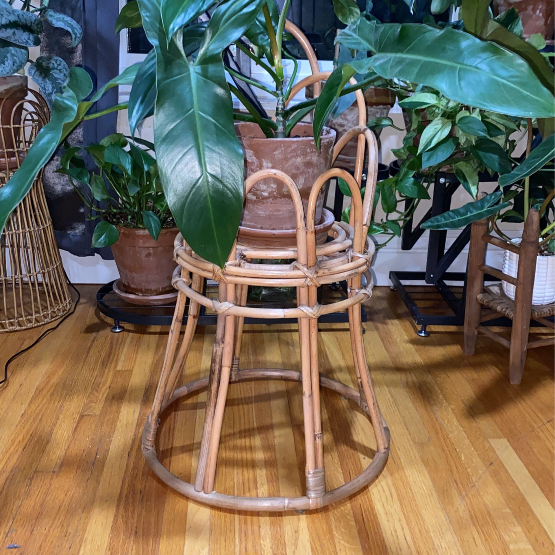 USED BAMBOO PLANT STAND 
