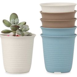 Mini Succulent Pots