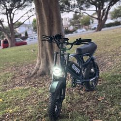 Electric Bike 