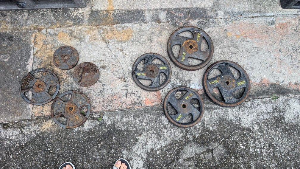 Gym equipment. .... Equipos Para Gym