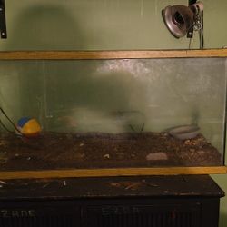 Fish/ Turtle Tank