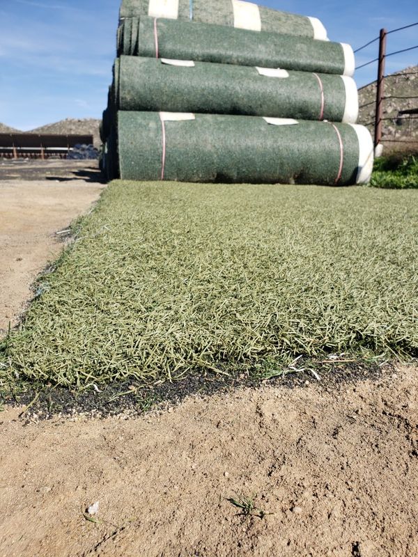 7.5' X 53' FOR 180 / USED ARTIFICIAL GRASS / SYNTHETIC GRASS / FAKE
