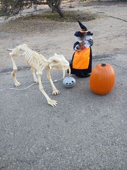Halloween Decorations