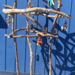 Large Parrot / Macaw Perch Tree - Big Thick N Curvy - Lots Of Birdee Fun ! ❤️