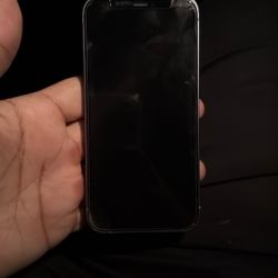 iPhone 12 Mini