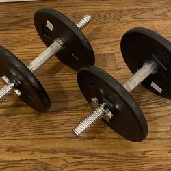 Pair of 20 lb (each) dumbbells 