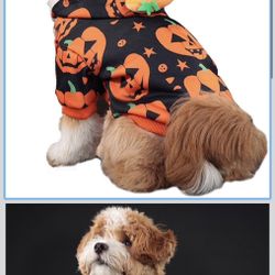 Halloween Dog Hoodie Pumpkin 🎃 Cat Costume 