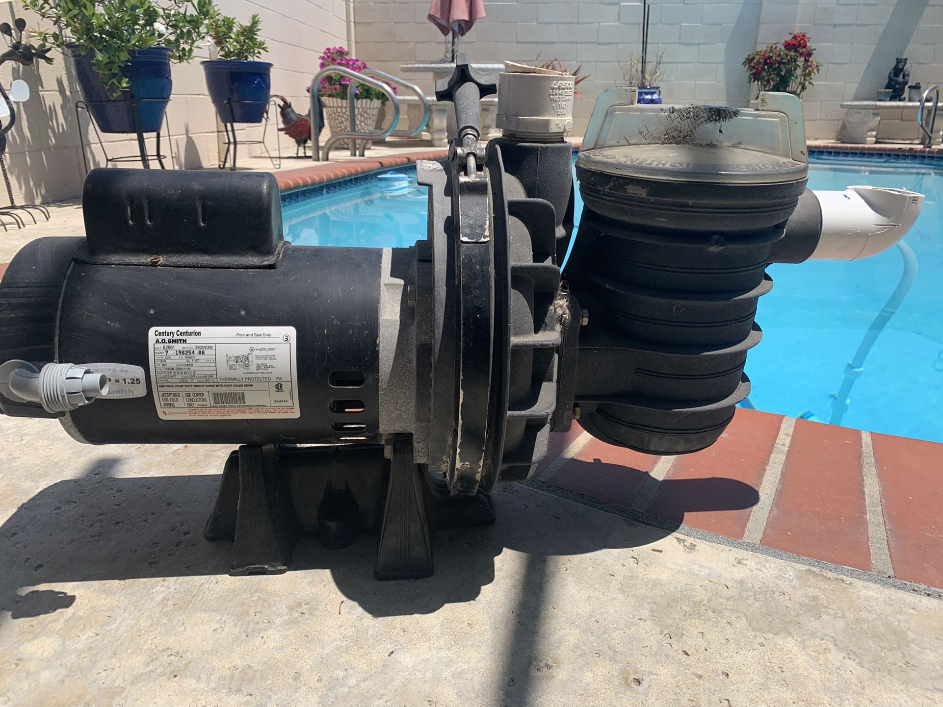 Century Centurion Pool Pump
