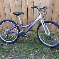 Trek mountain Track 200 24"