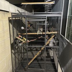 Bird Cage