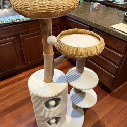 Cat Tree Brand New