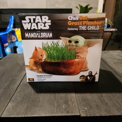 Chia Grass Planter